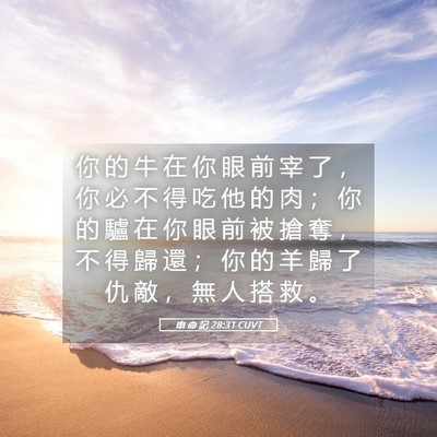 Picture 05 - 申 命 記 28:31 CUVT - 你 的 牛 在 你 眼 前 宰 了 ， 你 必 - Bible Verse Picture
