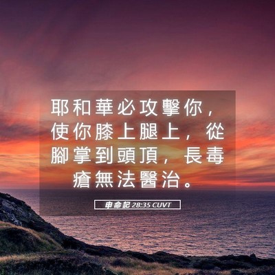 Picture 05 - 申 命 記 28:35 CUVT - 耶 和 華 必 攻 擊 你 ， 使 你 膝 上 - Bible Verse Picture