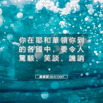 Picture 05 - 申 命 記 28:37 CUVT - 你 在 耶 和 華 領 你 到 的 各 國 中 - Bible Verse Picture
