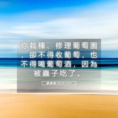 Picture 05 - 申 命 記 28:39 CUVT - 你 栽 種 、 修 理 葡 萄 園 ， 卻 不 - Bible Verse Picture