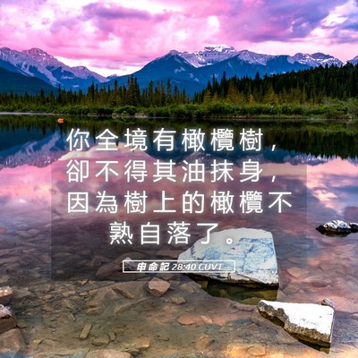 Picture 05 - 申 命 記 28:40 CUVT - 你 全 境 有 橄 欖 樹 ， 卻 不 得 其 - Bible Verse Picture