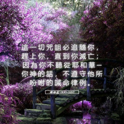 Picture 05 - 申 命 記 28:45 CUVT - 這 一 切 咒 詛 必 追 隨 你 ， 趕 上 - Bible Verse Picture