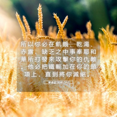 Picture 05 - 申 命 記 28:48 CUVT - 所 以 你 必 在 飢 餓 、 乾 渴 、 赤 - Bible Verse Picture