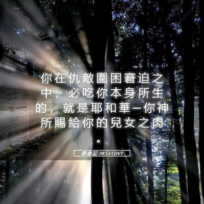 Picture 05 - 申 命 記 28:53 CUVT - 你 在 仇 敵 圍 困 窘 迫 之 中 ， 必 - Bible Verse Picture