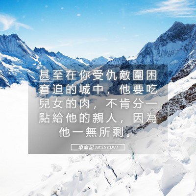Picture 05 - 申 命 記 28:55 CUVT - 甚 至 在 你 受 仇 敵 圍 困 窘 迫 的 - Bible Verse Picture
