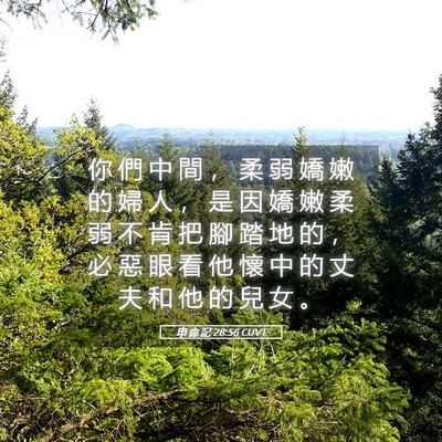 Picture 05 - 申 命 記 28:56 CUVT - 你 們 中 間 ， 柔 弱 嬌 嫩 的 婦 人 - Bible Verse Picture