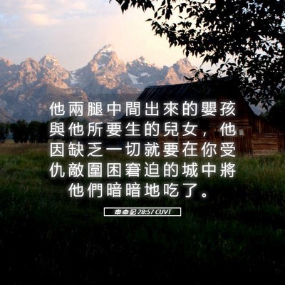 Picture 05 - 申 命 記 28:57 CUVT - 他 兩 腿 中 間 出 來 的 嬰 孩 與 他 - Bible Verse Picture