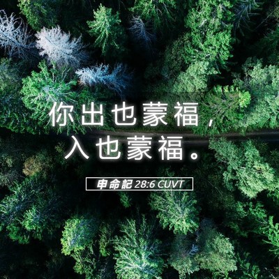 Picture 05 - 申 命 記 28:6 CUVT - 你 出 也 蒙 福 ， 入 也 蒙 福 - Bible Verse Picture