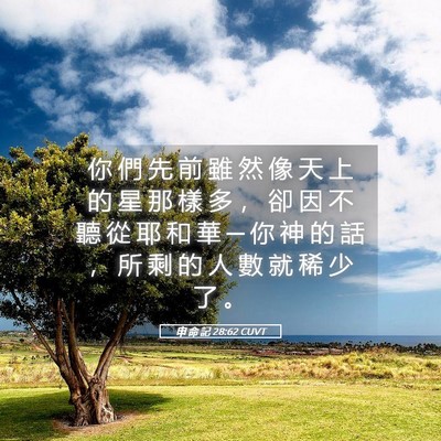 Picture 05 - 申 命 記 28:62 CUVT - 你 們 先 前 雖 然 像 天 上 的 星 那 - Bible Verse Picture