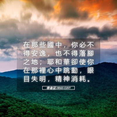 Picture 05 - 申 命 記 28:65 CUVT - 在 那 些 國 中 ， 你 必 不 得 安 逸 - Bible Verse Picture