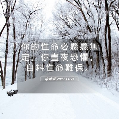 Picture 05 - 申 命 記 28:66 CUVT - 你 的 性 命 必 懸 懸 無 定 ； 你 晝 - Bible Verse Picture