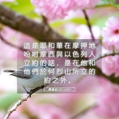 Picture 05 - 申 命 記 29:1 CUVT - 這 是 耶 和 華 在 摩 押 地 吩 咐 摩 - Bible Verse Picture