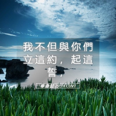 Picture 05 - 申 命 記 29:14 CUVT - 我 不 但 與 你 們 立 這 約 ， 起 這 - Bible Verse Picture