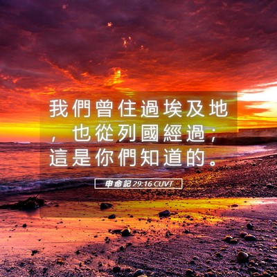 Picture 05 - 申 命 記 29:16 CUVT - 我 們 曾 住 過 埃 及 地 ， 也 從 列 - Bible Verse Picture