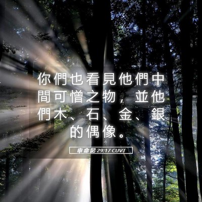 Picture 05 - 申 命 記 29:17 CUVT - 你 們 也 看 見 他 們 中 間 可 憎 之 - Bible Verse Picture