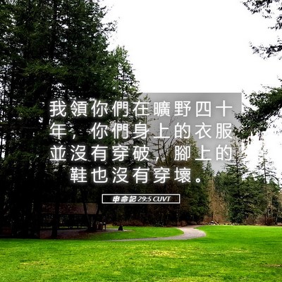 Picture 05 - 申 命 記 29:5 CUVT - 我 領 你 們 在 曠 野 四 十 年 ， 你 - Bible Verse Picture