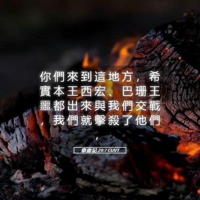 Picture 05 - 申 命 記 29:7 CUVT - 你 們 來 到 這 地 方 ， 希 實 本 王 - Bible Verse Picture