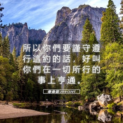Picture 05 - 申 命 記 29:9 CUVT - 所 以 你 們 要 謹 守 遵 行 這 約 的 - Bible Verse Picture