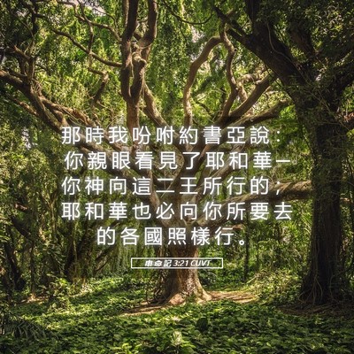 Picture 05 - 申 命 記 3:21 CUVT - 那 時 我 吩 咐 約 書 亞 說 ： 你 親 - Bible Verse Picture