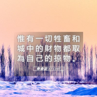 Picture 05 - 申 命 記 3:7 CUVT - 惟 有 一 切 牲 畜 和 城 中 的 財 物 - Bible Verse Picture