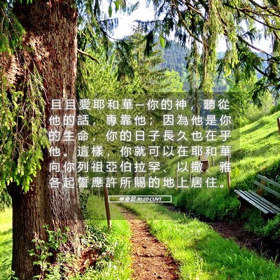 Picture 05 - 申 命 記 30:20 CUVT - 且 且 愛 耶 和 華 ─ 你 的 神 ， 聽 - Bible Verse Picture