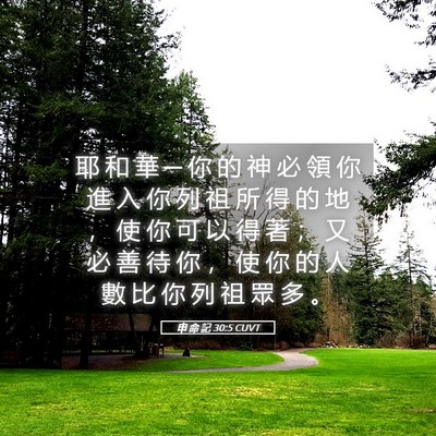 Picture 05 - 申 命 記 30:5 CUVT - 耶 和 華 ─ 你 的 神 必 領 你 進 入 - Bible Verse Picture