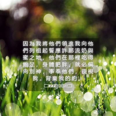 Picture 05 - 申 命 記 31:20 CUVT - 因 為 我 將 他 們 領 進 我 向 他 們 - Bible Verse Picture