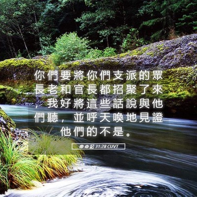 Picture 05 - 申 命 記 31:28 CUVT - 你 們 要 將 你 們 支 派 的 眾 長 老 - Bible Verse Picture