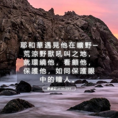 Picture 05 - 申 命 記 32:10 CUVT - 耶 和 華 遇 見 他 在 曠 野 ─ 荒 涼 - Bible Verse Picture
