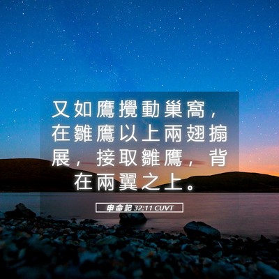 Picture 05 - 申 命 記 32:11 CUVT - 又 如 鷹 攪 動 巢 窩 ， 在 雛 鷹 以 - Bible Verse Picture