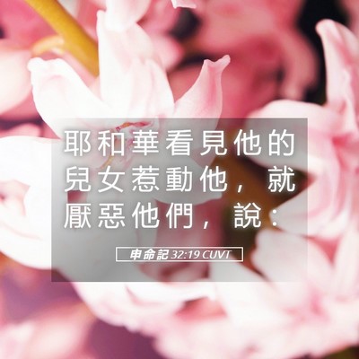Picture 05 - 申 命 記 32:19 CUVT - 耶 和 華 看 見 他 的 兒 女 惹 動 他 - Bible Verse Picture