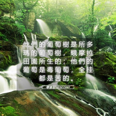 Picture 05 - 申 命 記 32:32 CUVT - 他 們 的 葡 萄 樹 是 所 多 瑪 的 葡 - Bible Verse Picture
