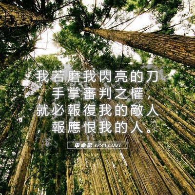 Picture 05 - 申 命 記 32:41 CUVT - 我 若 磨 我 閃 亮 的 刀 ， 手 掌 審 - Bible Verse Picture