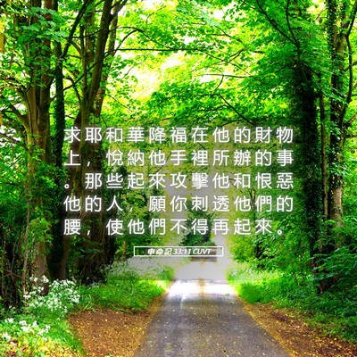 Picture 05 - 申 命 記 33:11 CUVT - 求 耶 和 華 降 福 在 他 的 財 物 上 - Bible Verse Picture