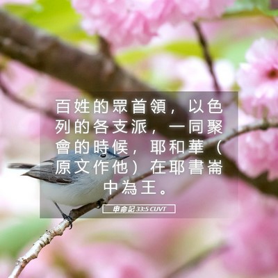 Picture 05 - 申 命 記 33:5 CUVT - 百 姓 的 眾 首 領 ， 以 色 列 的 各 - Bible Verse Picture