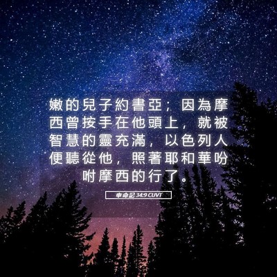 Picture 05 - 申 命 記 34:9 CUVT - 嫩 的 兒 子 約 書 亞 ； 因 為 摩 西 - Bible Verse Picture