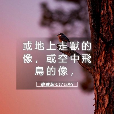 Picture 05 - 申 命 記 4:17 CUVT - 或 地 上 走 獸 的 像 ， 或 空 中 飛 - Bible Verse Picture