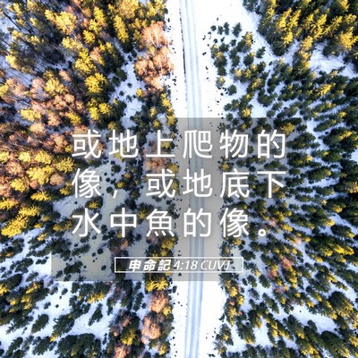 Picture 05 - 申 命 記 4:18 CUVT - 或 地 上 爬 物 的 像 ， 或 地 底 下 - Bible Verse Picture