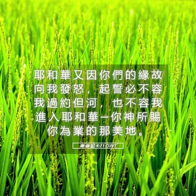 Picture 05 - 申 命 記 4:21 CUVT - 耶 和 華 又 因 你 們 的 緣 故 向 我 - Bible Verse Picture