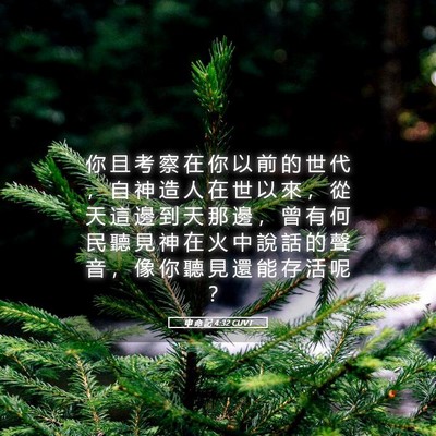 Picture 05 - 申 命 記 4:32 CUVT - 你 且 考 察 在 你 以 前 的 世 代 ， - Bible Verse Picture