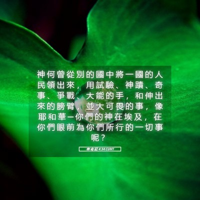 Picture 05 - 申 命 記 4:34 CUVT - 神 何 曾 從 別 的 國 中 將 一 國 的 - Bible Verse Picture