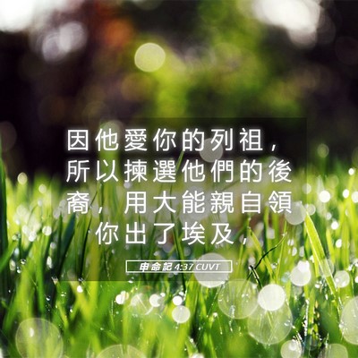 Picture 05 - 申 命 記 4:37 CUVT - 因 他 愛 你 的 列 祖 ， 所 以 揀 選 - Bible Verse Picture