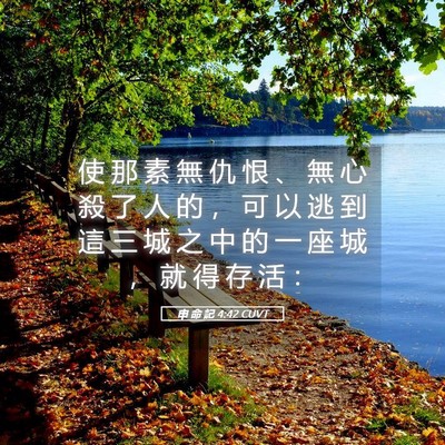Picture 05 - 申 命 記 4:42 CUVT - 使 那 素 無 仇 恨 、 無 心 殺 了 人 - Bible Verse Picture