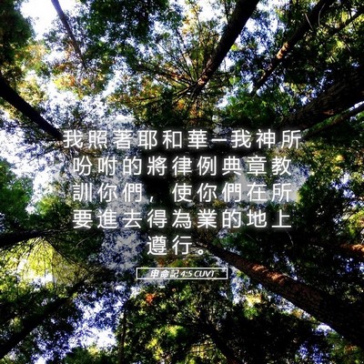 Picture 05 - 申 命 記 4:5 CUVT - 我 照 著 耶 和 華 ─ 我 神 所 吩 咐 - Bible Verse Picture