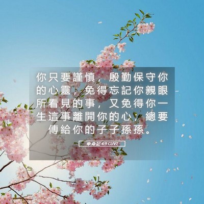 Picture 05 - 申 命 記 4:9 CUVT - 你 只 要 謹 慎 ， 殷 勤 保 守 你 的 - Bible Verse Picture