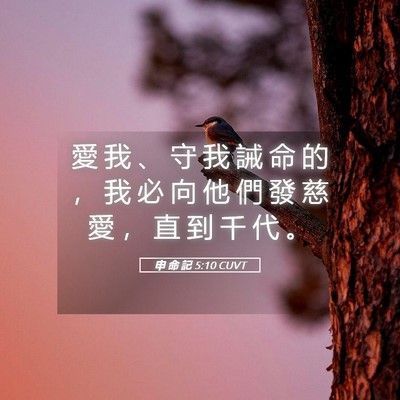Picture 05 - 申 命 記 5:10 CUVT - 愛 我 、 守 我 誡 命 的 ， 我 必 向 - Bible Verse Picture