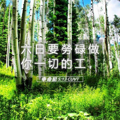 Picture 05 - 申 命 記 5:13 CUVT - 六 日 要 勞 碌 做 你 一 切 的 工 - Bible Verse Picture