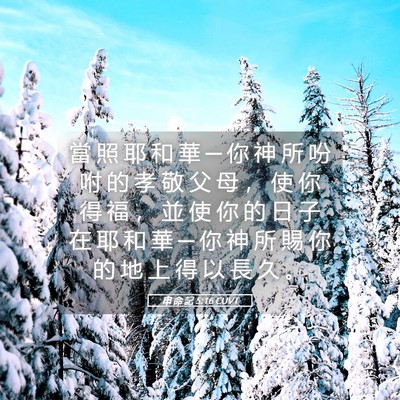 Picture 05 - 申 命 記 5:16 CUVT - 當 照 耶 和 華 ─ 你 神 所 吩 咐 的 - Bible Verse Picture