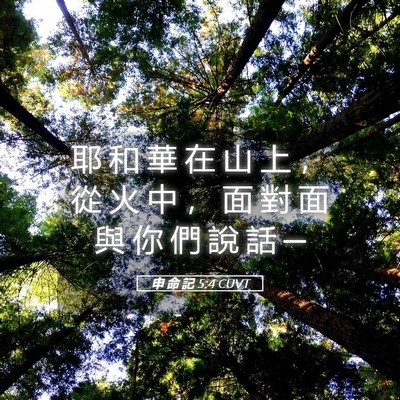 Picture 05 - 申 命 記 5:4 CUVT - 耶 和 華 在 山 上 ， 從 火 中 ， 面 - Bible Verse Picture