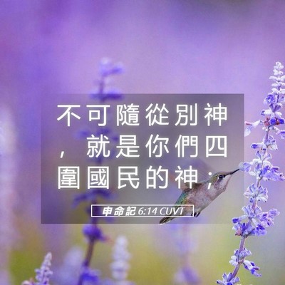 Picture 05 - 申 命 記 6:14 CUVT - 不 可 隨 從 別 神 ， 就 是 你 們 四 - Bible Verse Picture